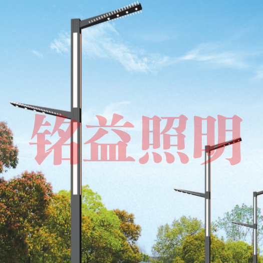 新疆太陽(yáng)能LED路燈